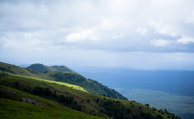凭借坚韧的 凭借坚韧的