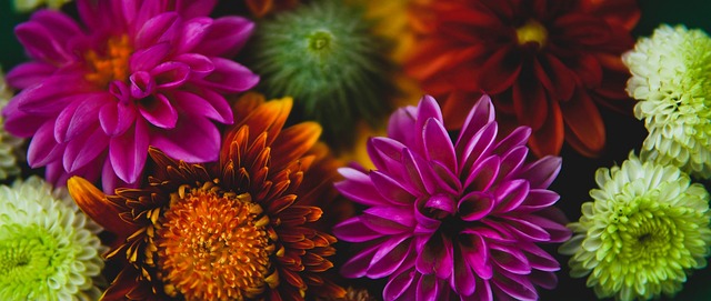 人的闪光 人的闪光