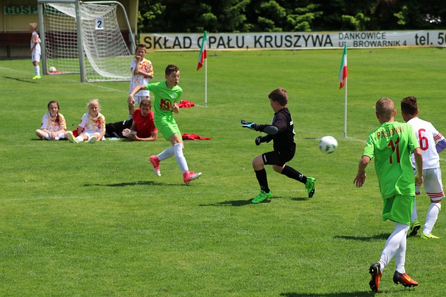 队现状的全 队现状的全