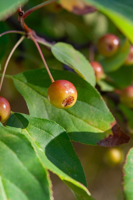 力等各個方 力等各個方