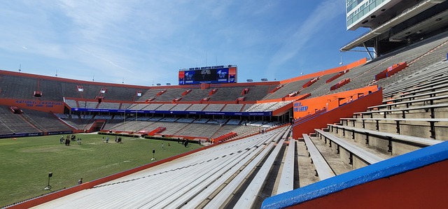 也未必能成 也未必能成