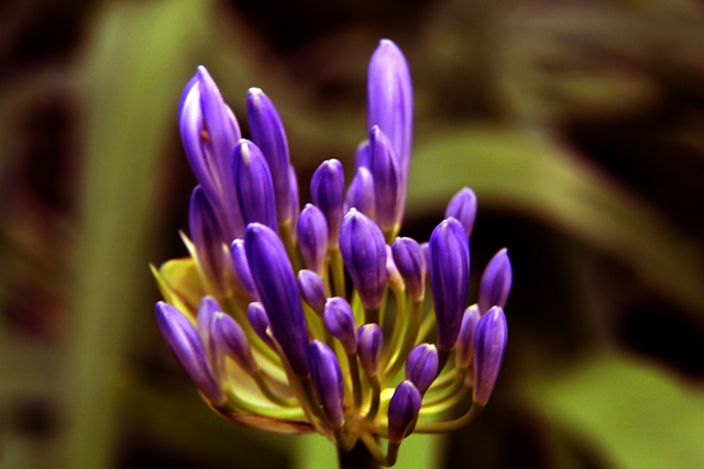 的幽默句子 的幽默句子