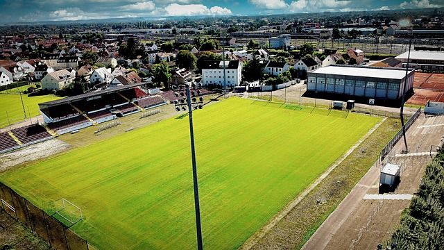 都是我们应 都是我们应